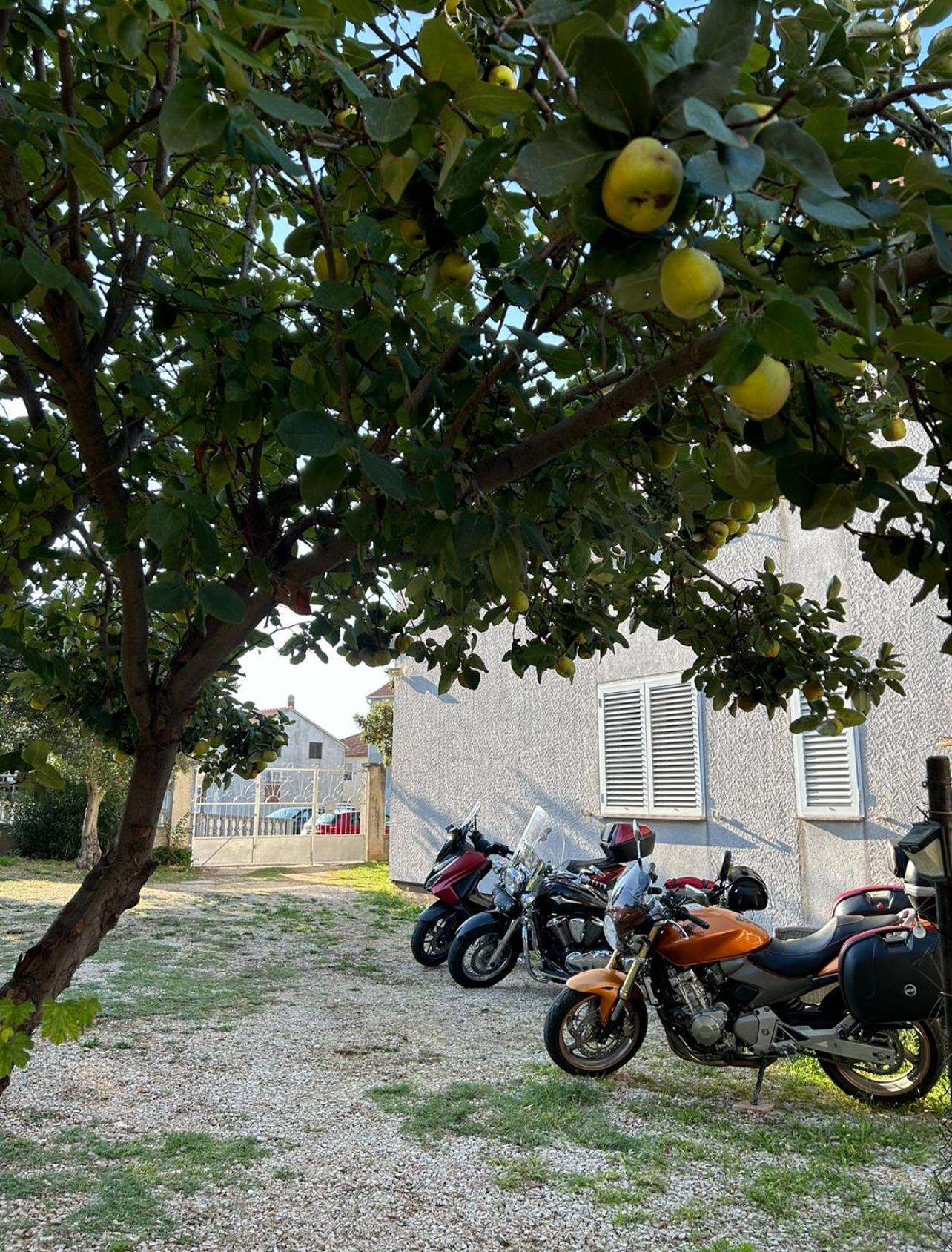 Villa Jadran Zadar Free Parking Sea View Экстерьер фото